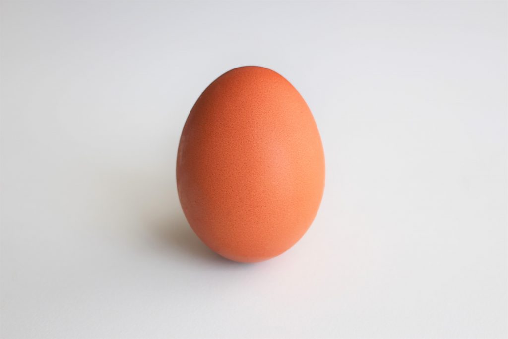 シンプルな卵単体